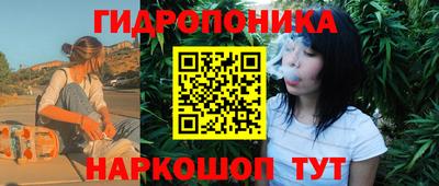 тгк Краснодар
