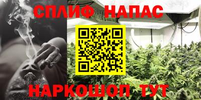 тгк Краснодар